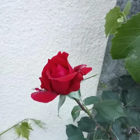 Daire Estudio Privado 30 Km Lisboa Gradil