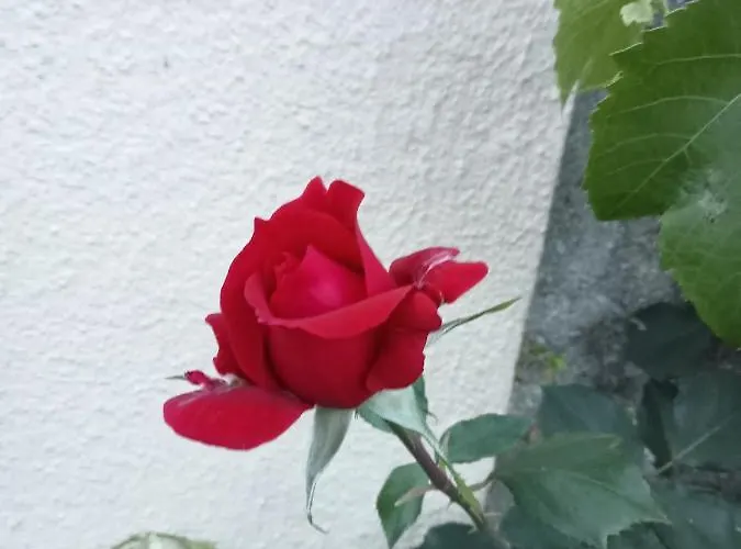 アパート Estudio Privado 30 Km Lisboa Gradil